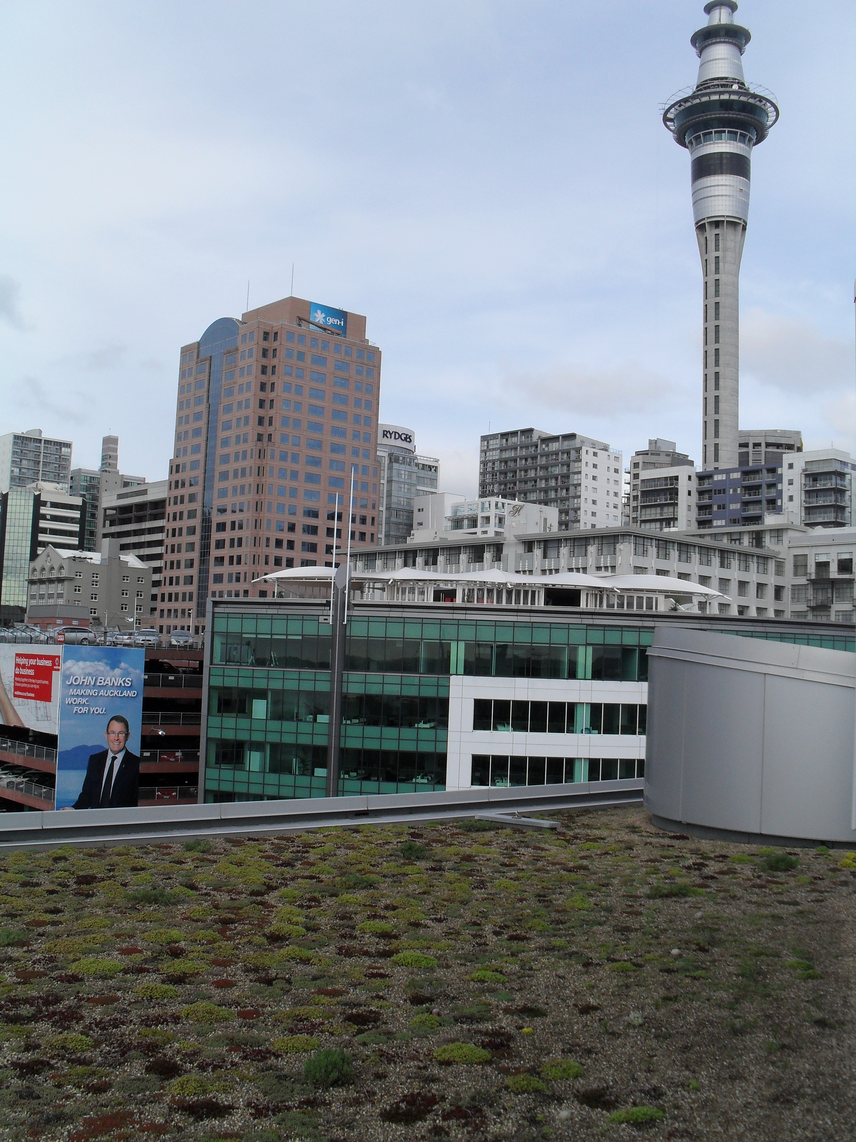 Green Roof in Auckland CBD