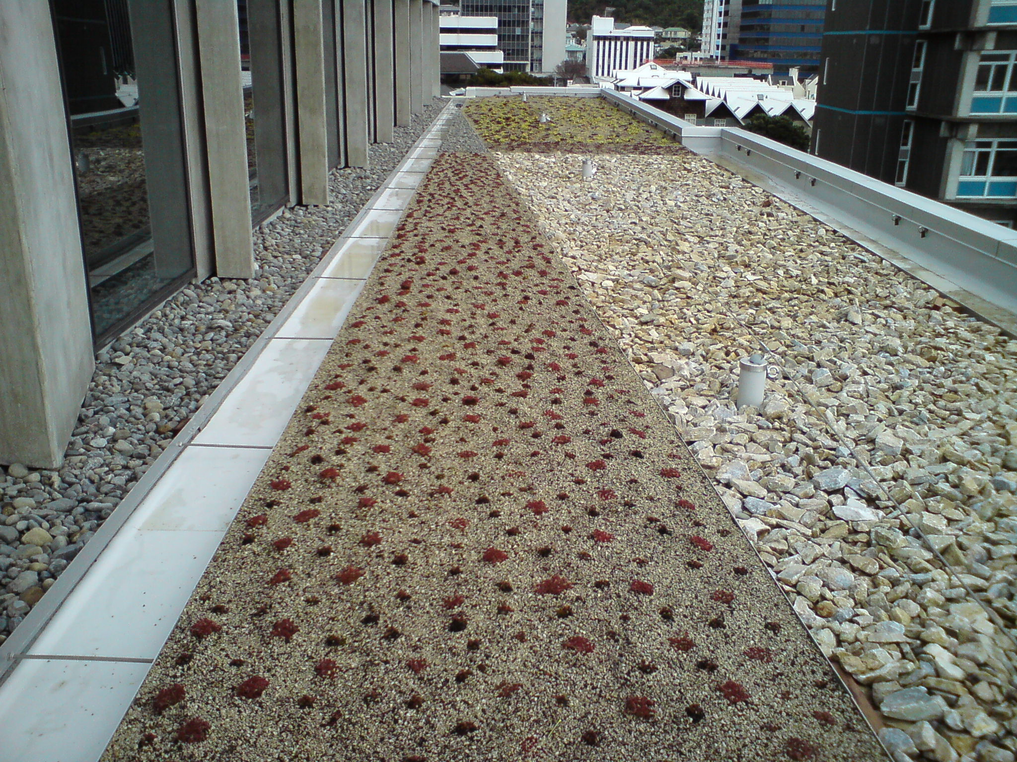 finished the green roof at the University