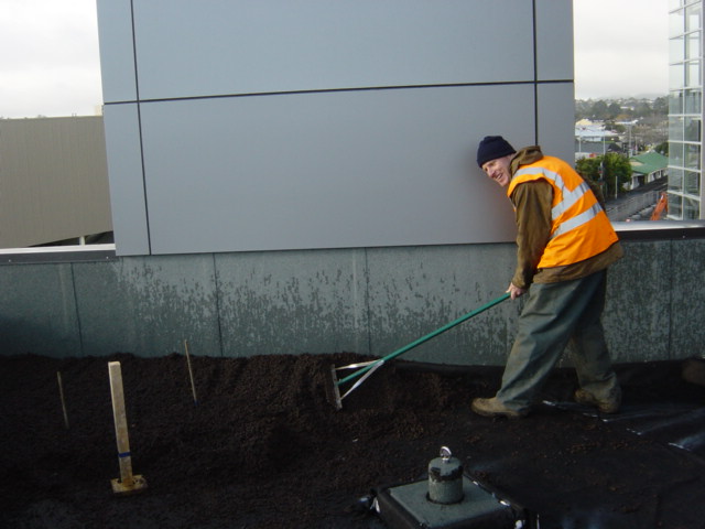 preparing the green roof