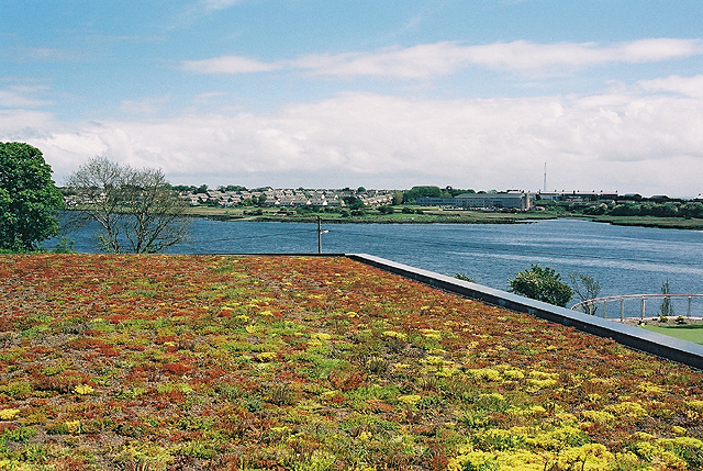 Green roof Galway