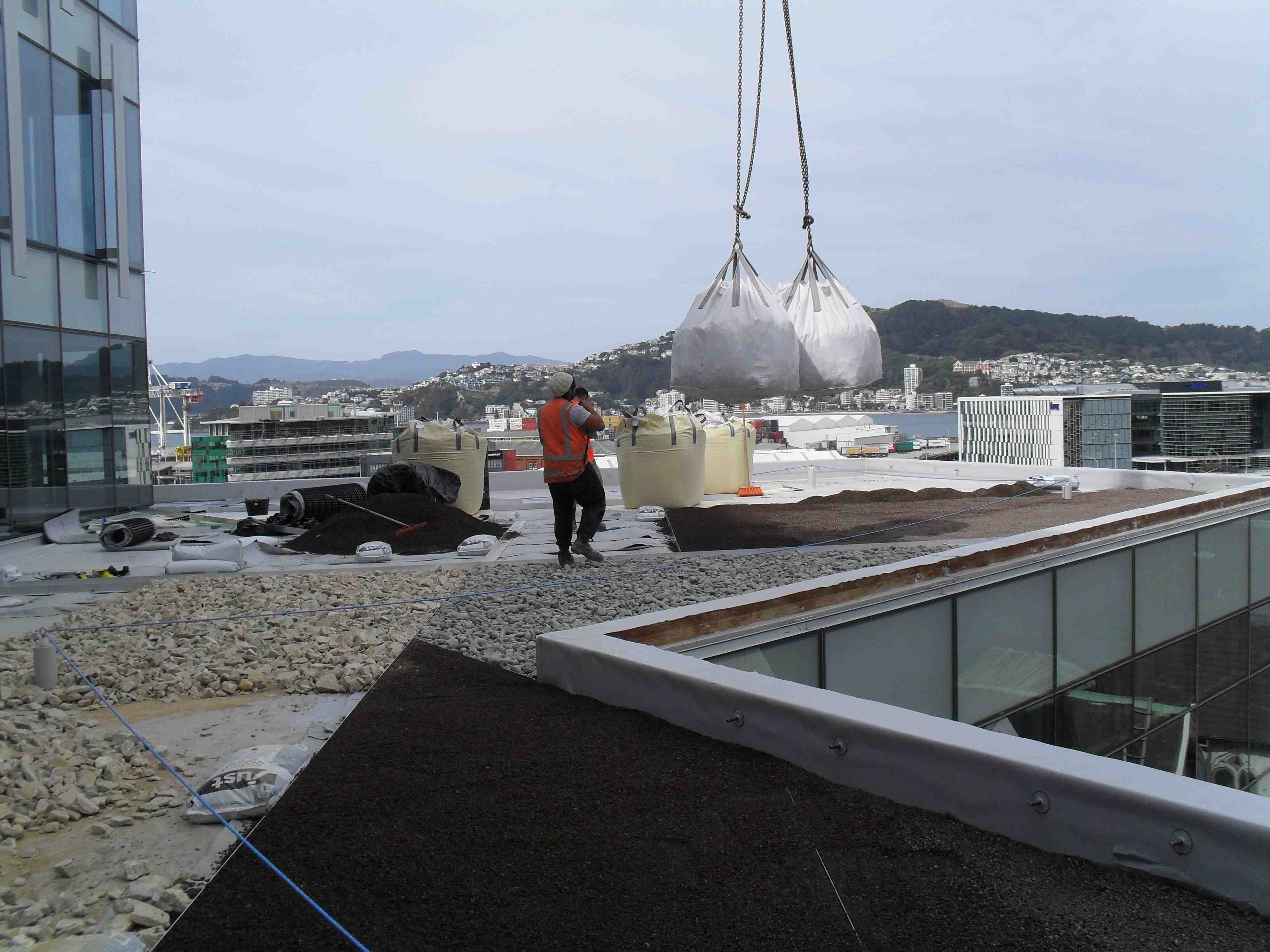 Living roof at NZI - loading