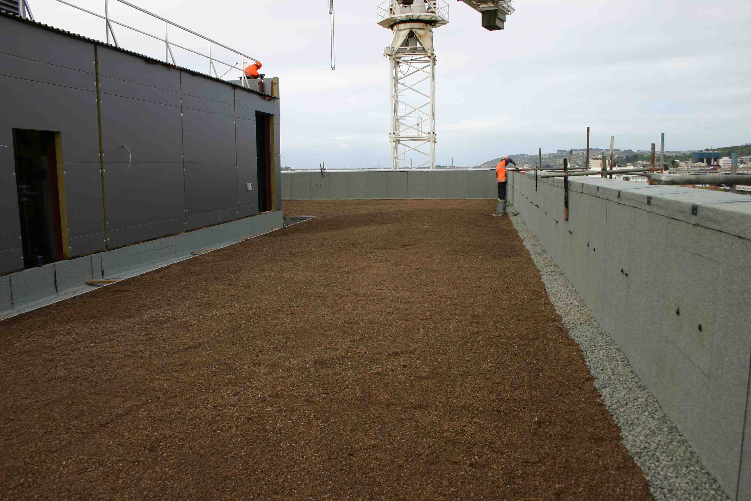 Green roof installation at Otago University