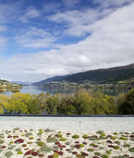 Living roofs help reduce the effects of climate change