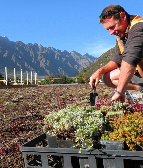 Installing green roofs in New Zealand