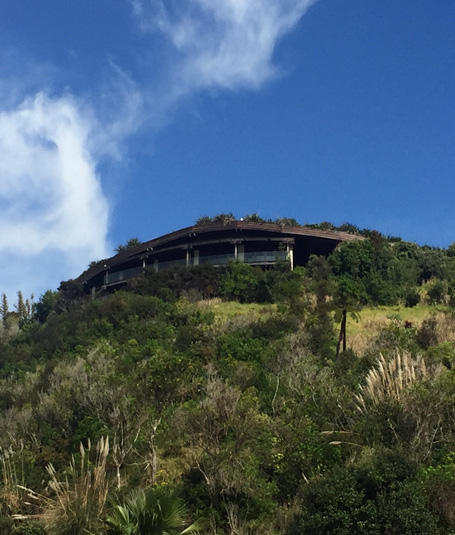 Living roofs provide insulation