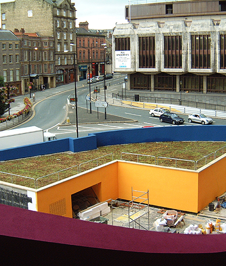 Our overseas living roof work