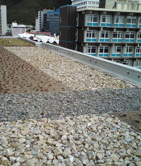 Green roofs offer stormwater management solutions