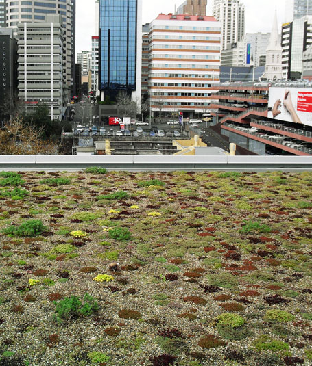 Green roofs provide urban improvement