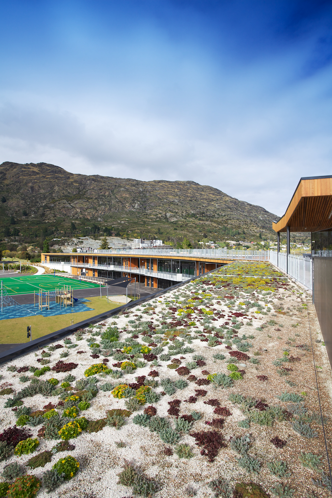 Green roof at the Remarkables Primary School