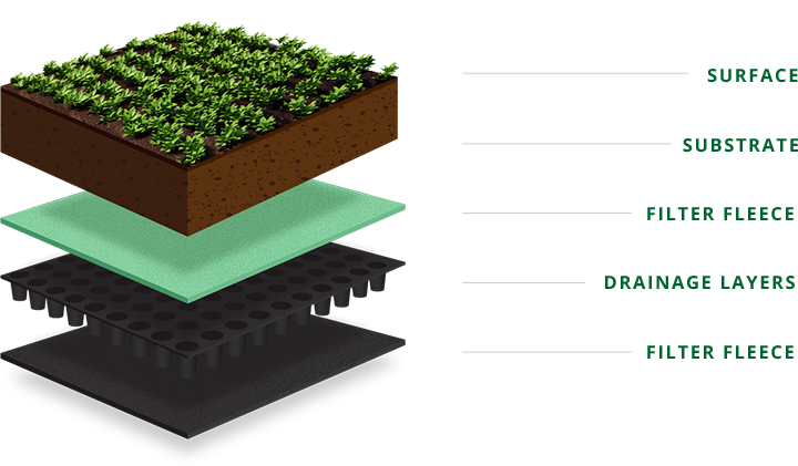 What are the layers green roofs?