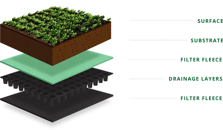 What are the green roof layers? A green roof diagram