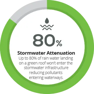 Green roofs reduce storm water runoff
