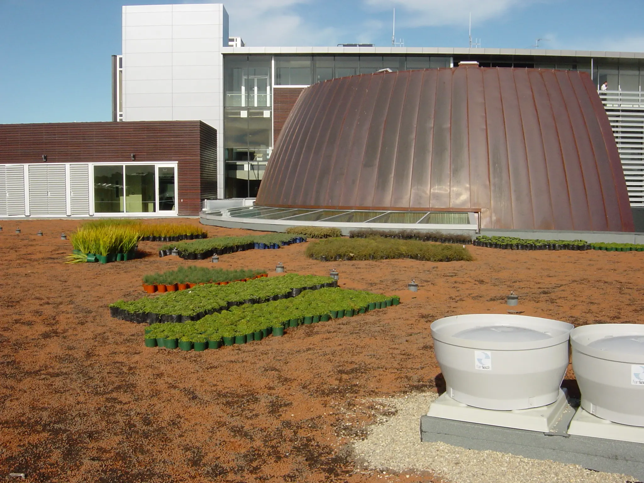 Waitakere Civic Centre Greenroof