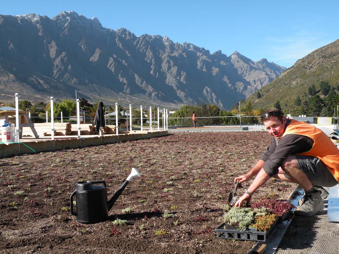 installing a new Green roof on the Remarkables Primary School