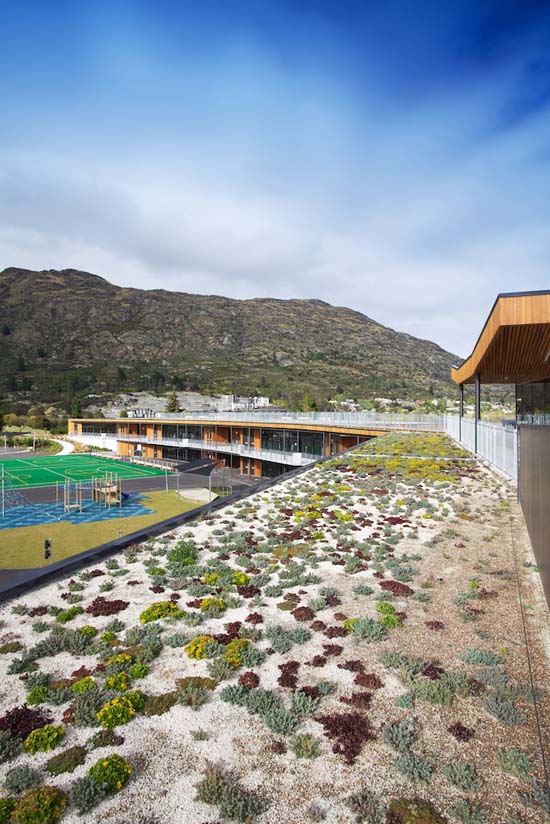 Green roof on the Remarkables Primary School