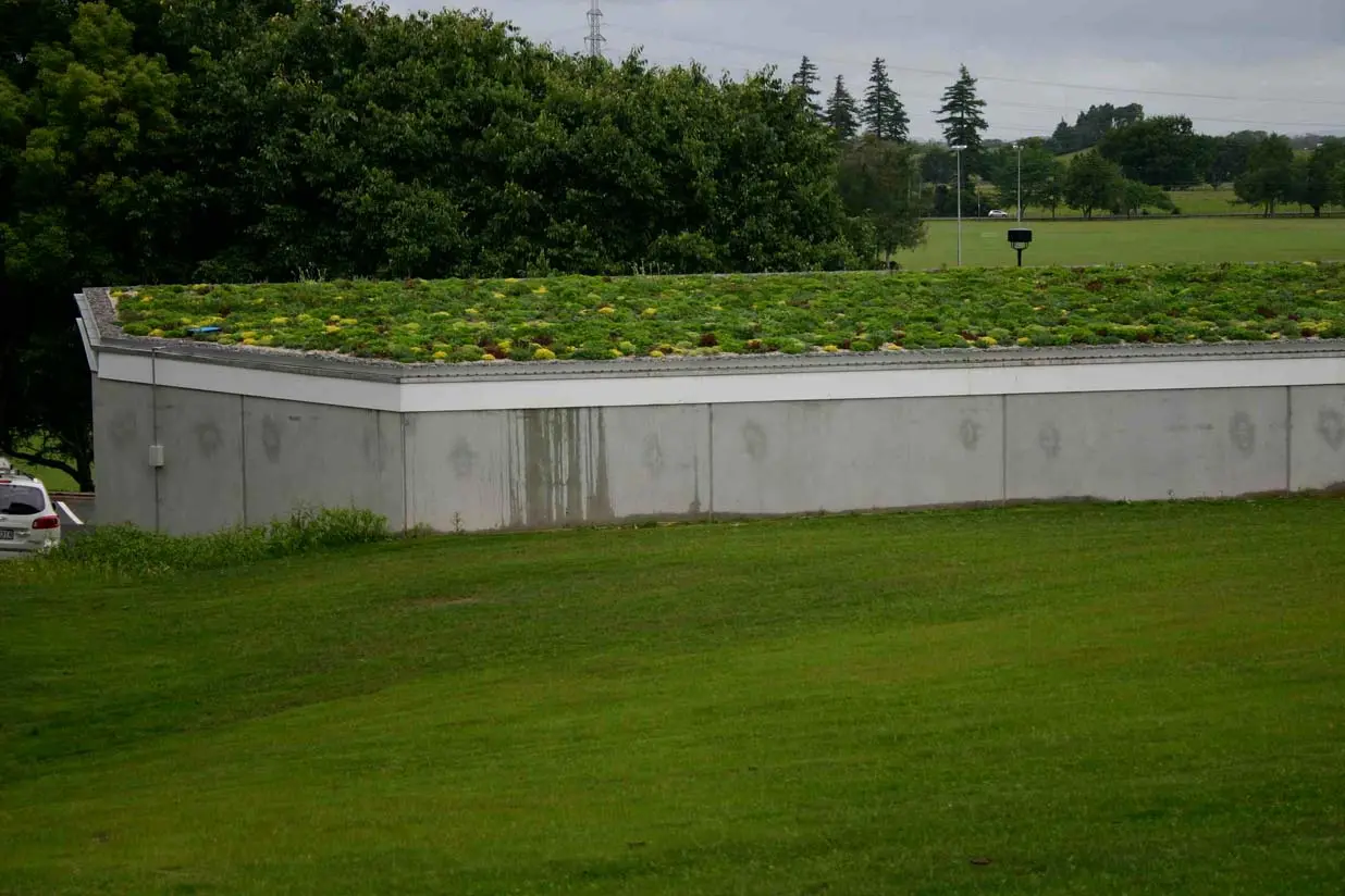 Distant view of the green roof at the University of Waikato