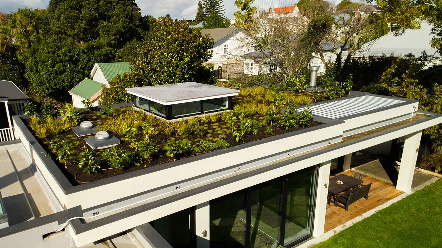 Green roof in Mount Eden