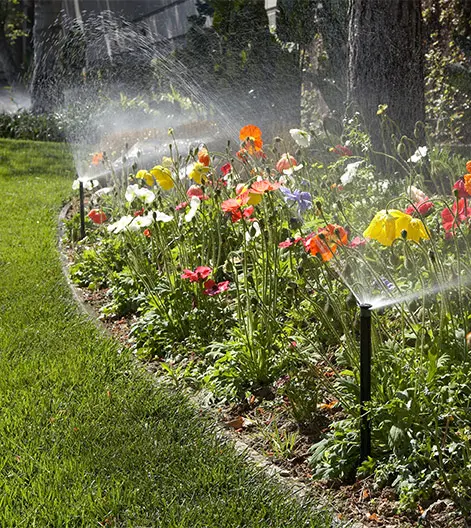 Installation of Irrigation System Irrigation System Installation