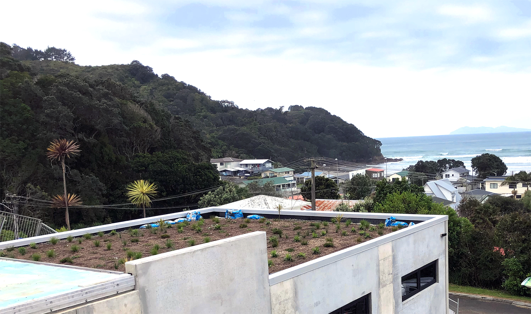 Green-roof-installed-over-a-garage-at-Waihi-Beach