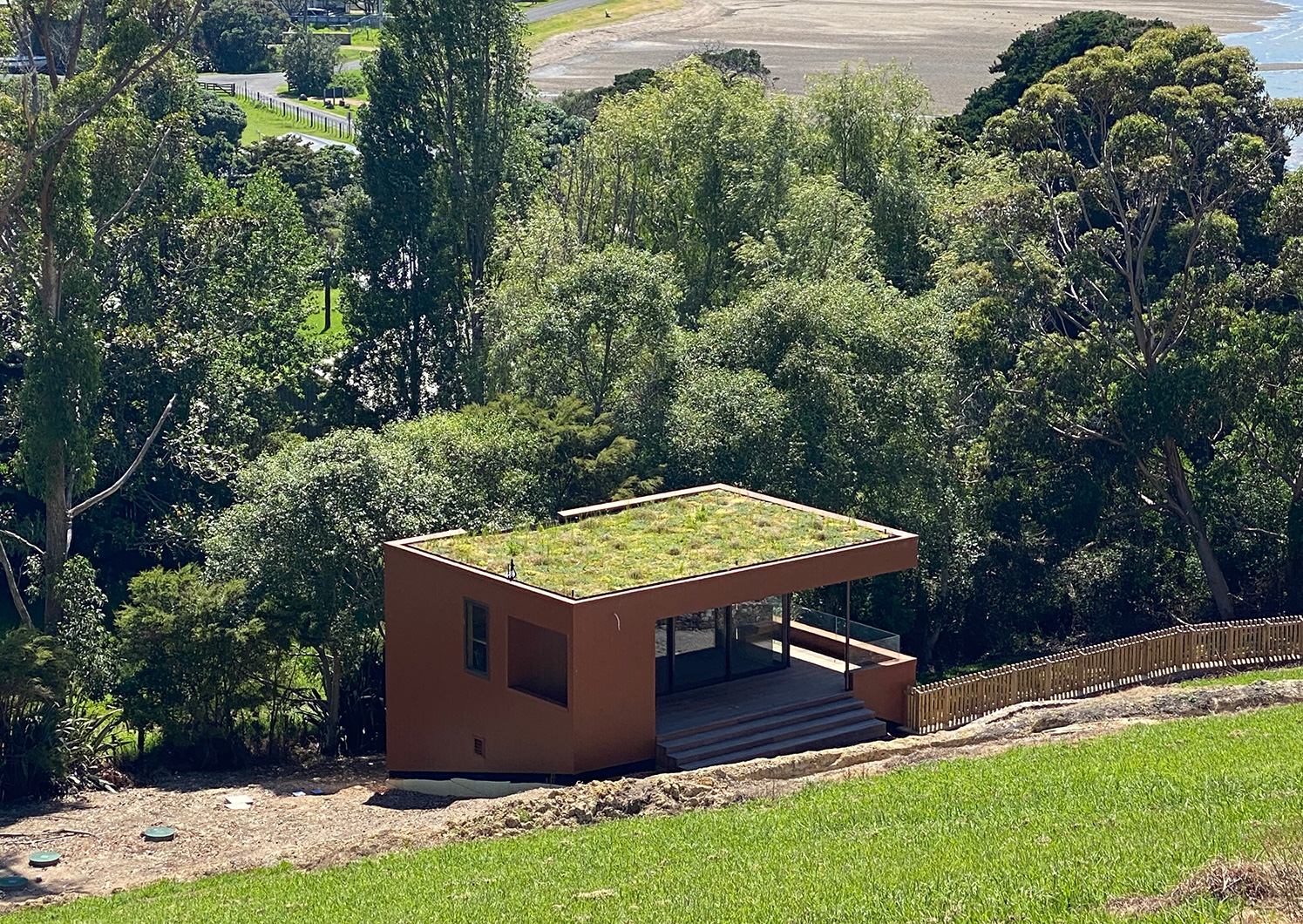 Green-roof-on-Waiheke-12-months-after-install_3