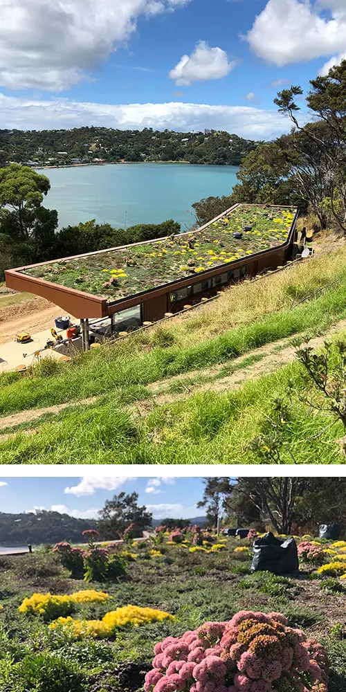 Green roofs NZ