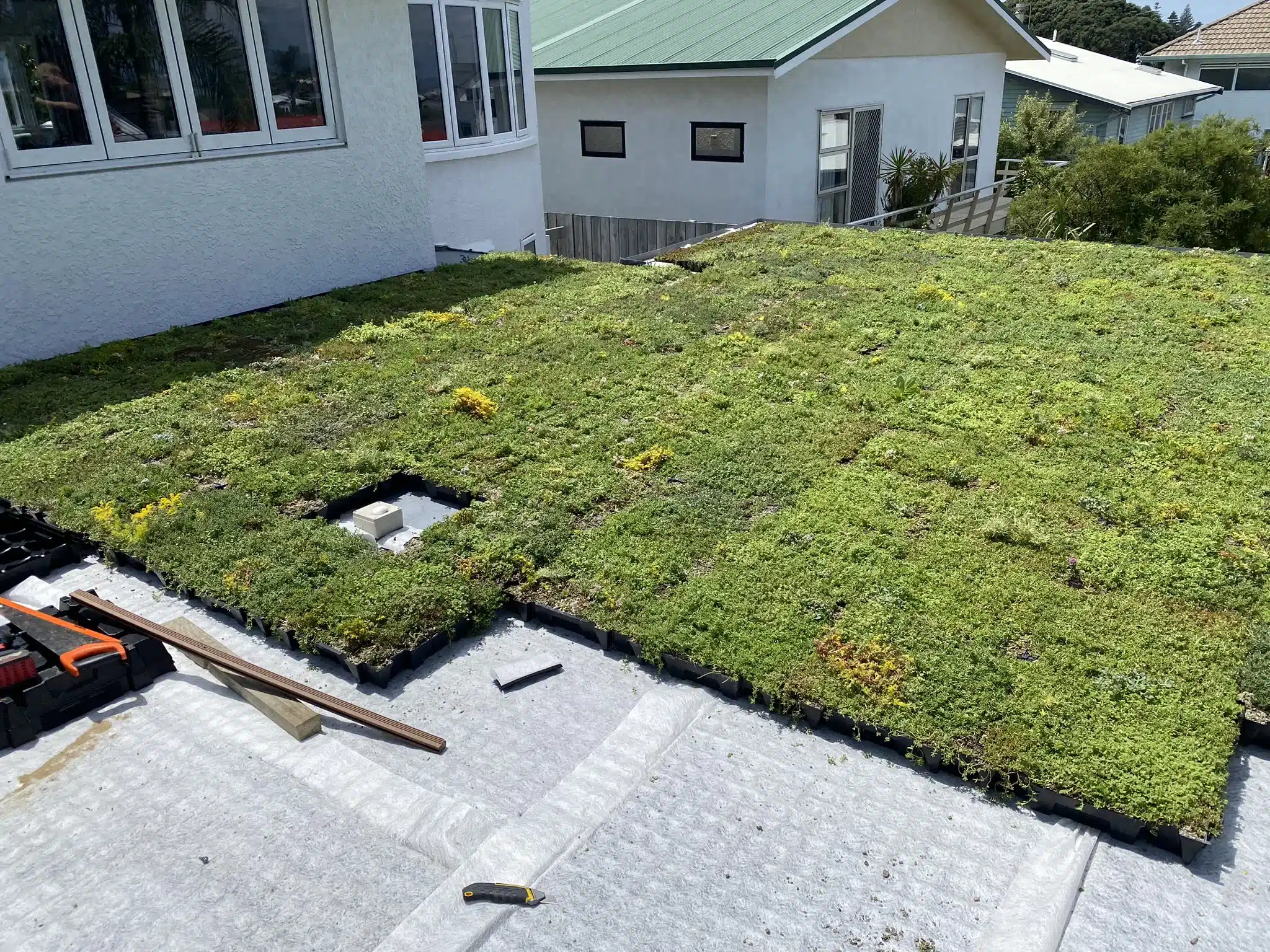 Mount Maunganui Garage Green Roof Installation