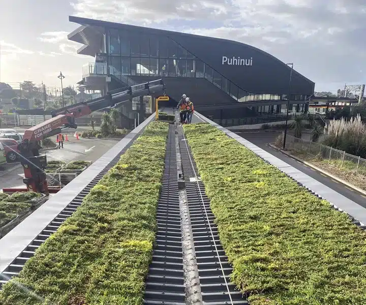 Puhinui Station Green Roof for Auckland Transport
