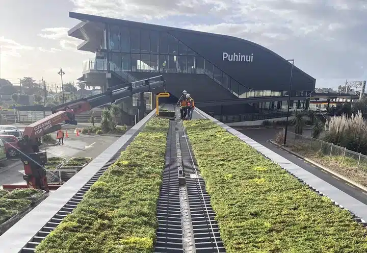 Puhinui Station Green Roof