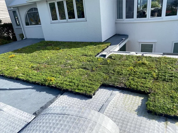 Click-n-go green roof on garage in Mt Maunganui