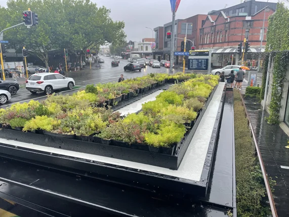 Pre-grown green roof installed at Ponsonby bus shelter