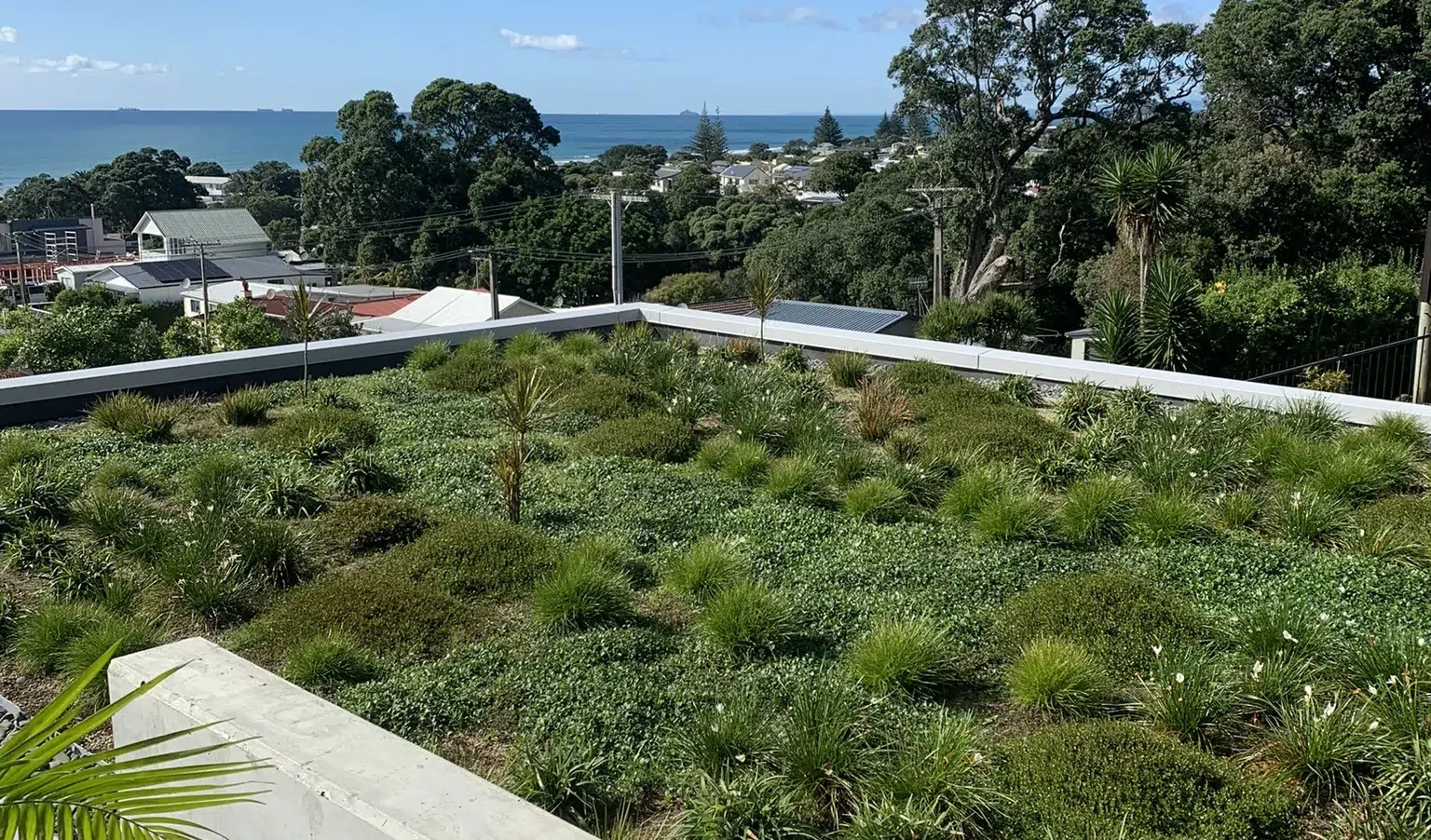 Benefits of green roofs in NZ