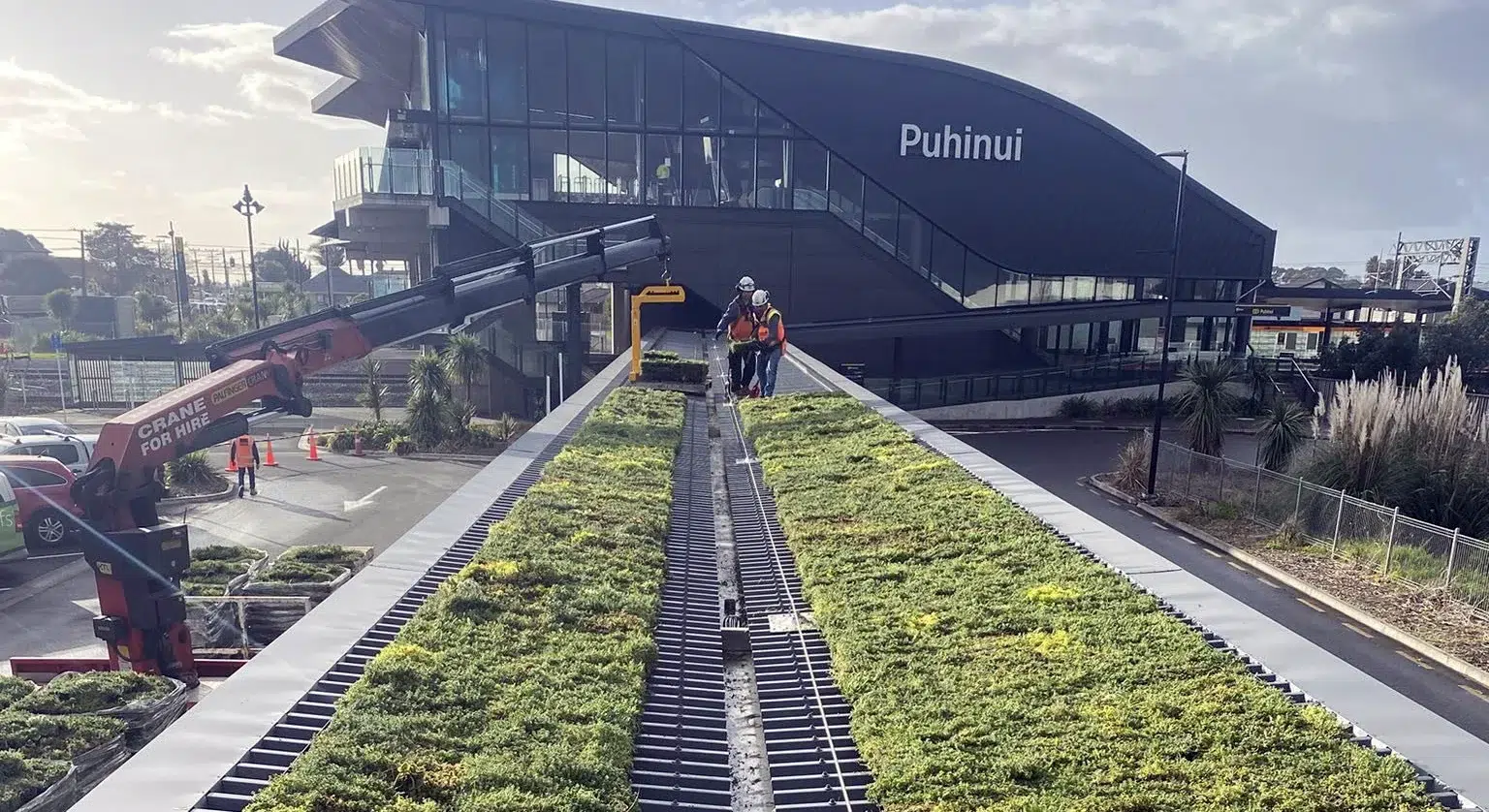 Green roof Click ‘n go trays