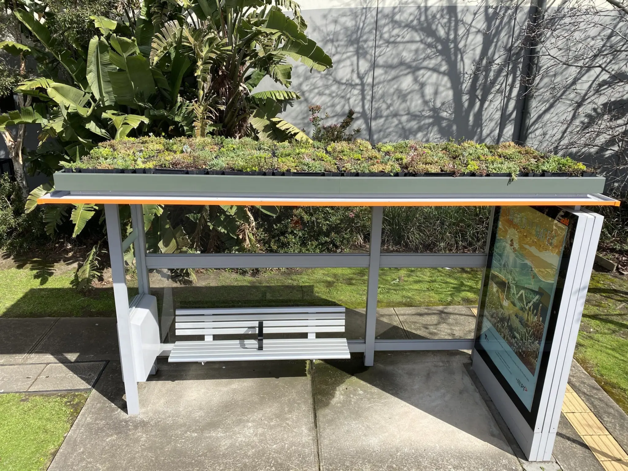 Sempergreen green roof trays on bus stop roof