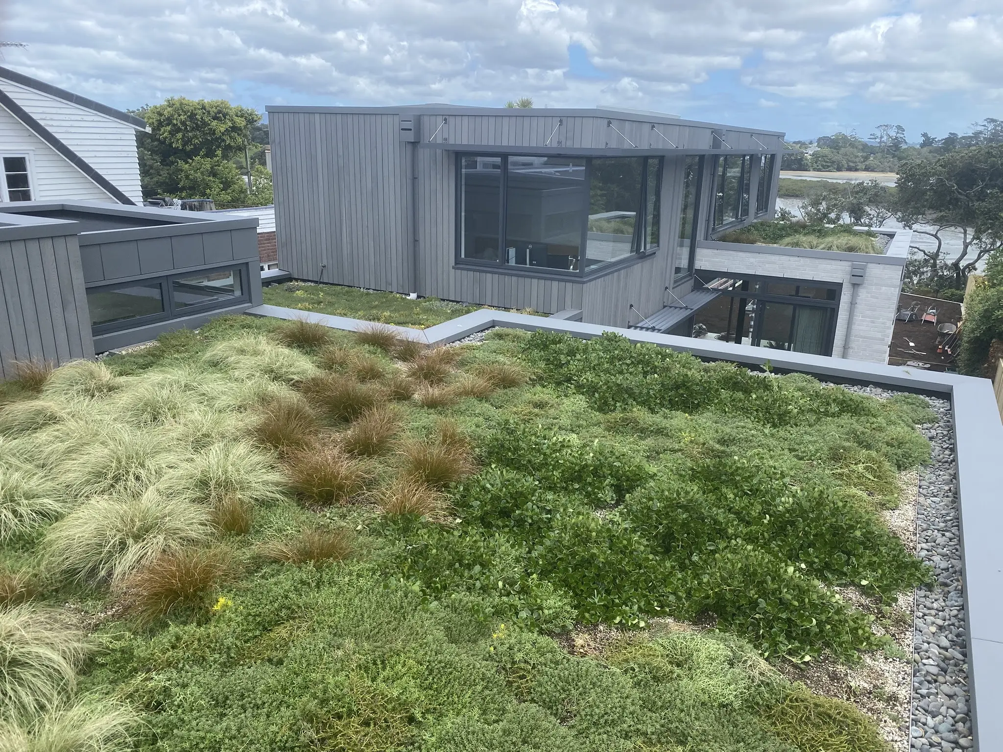 Westmere green roof